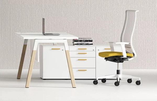 Bureau individuel amazone – moderne